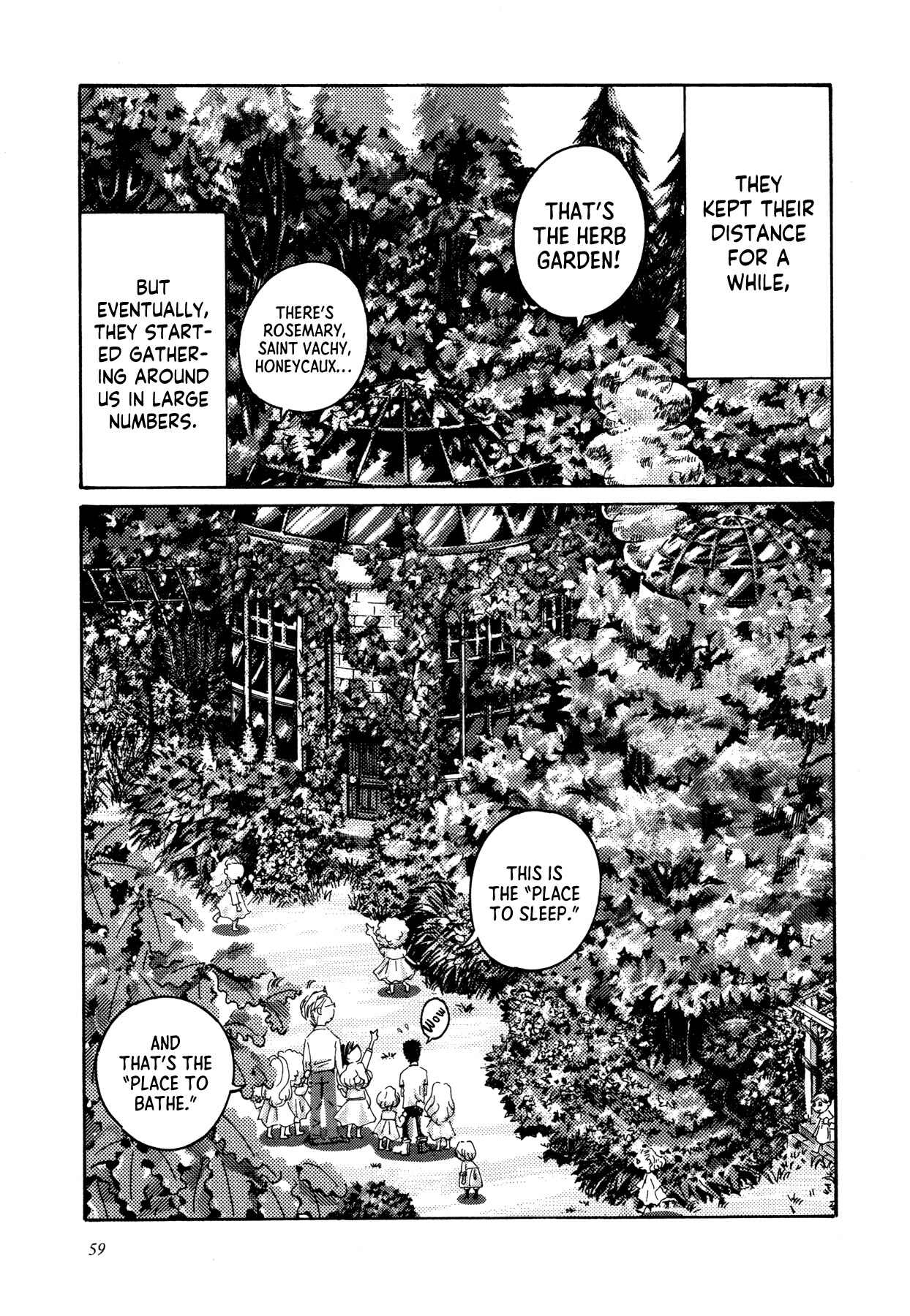 Page 16 Chapter 3 See the Forest