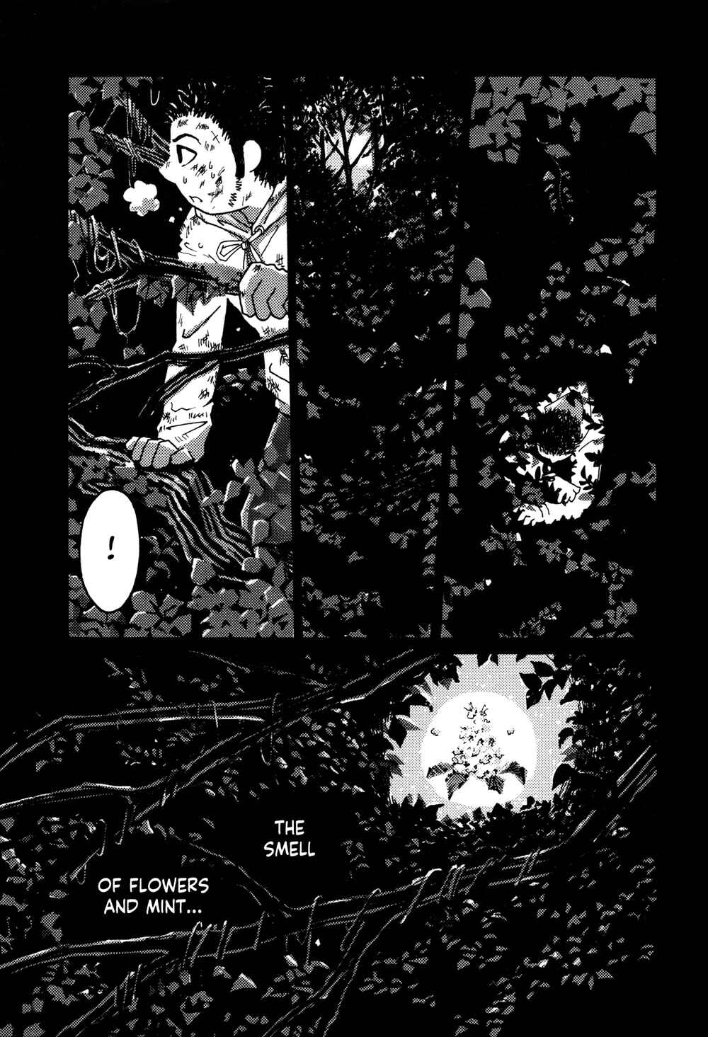 Page 23 Chapter 5 See the Forest
