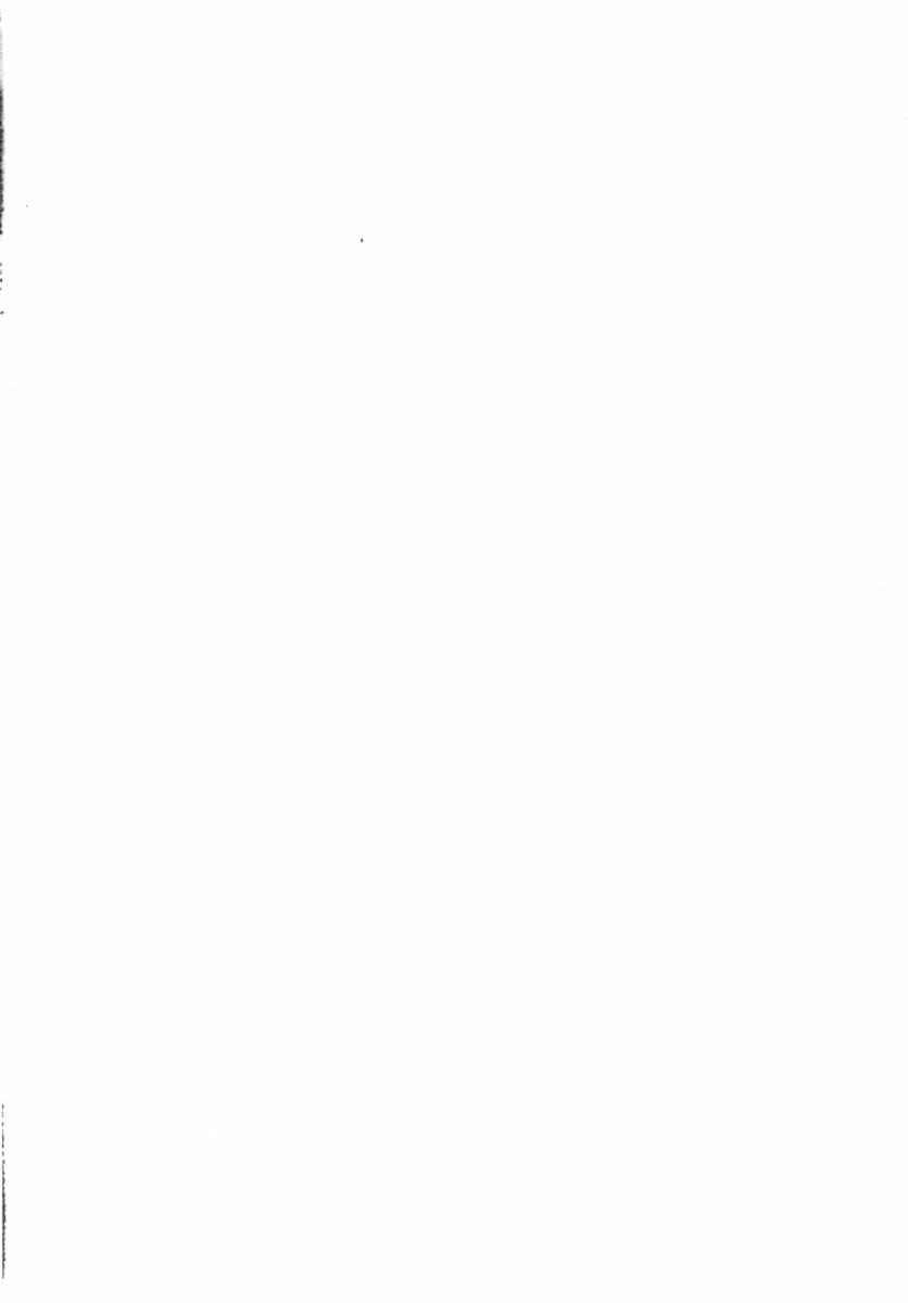 Page 4 Chapter 28 Mouryou no Yurikago
