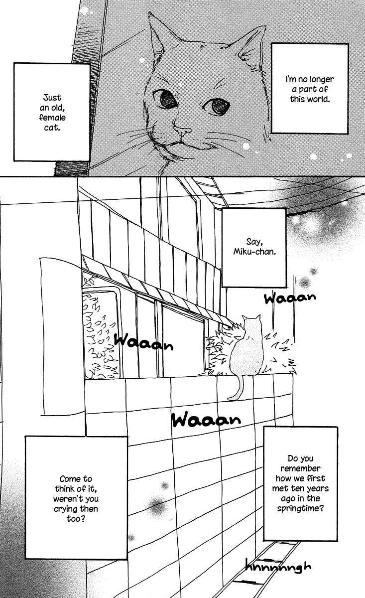 Page 7 Chapter 2 Himawari