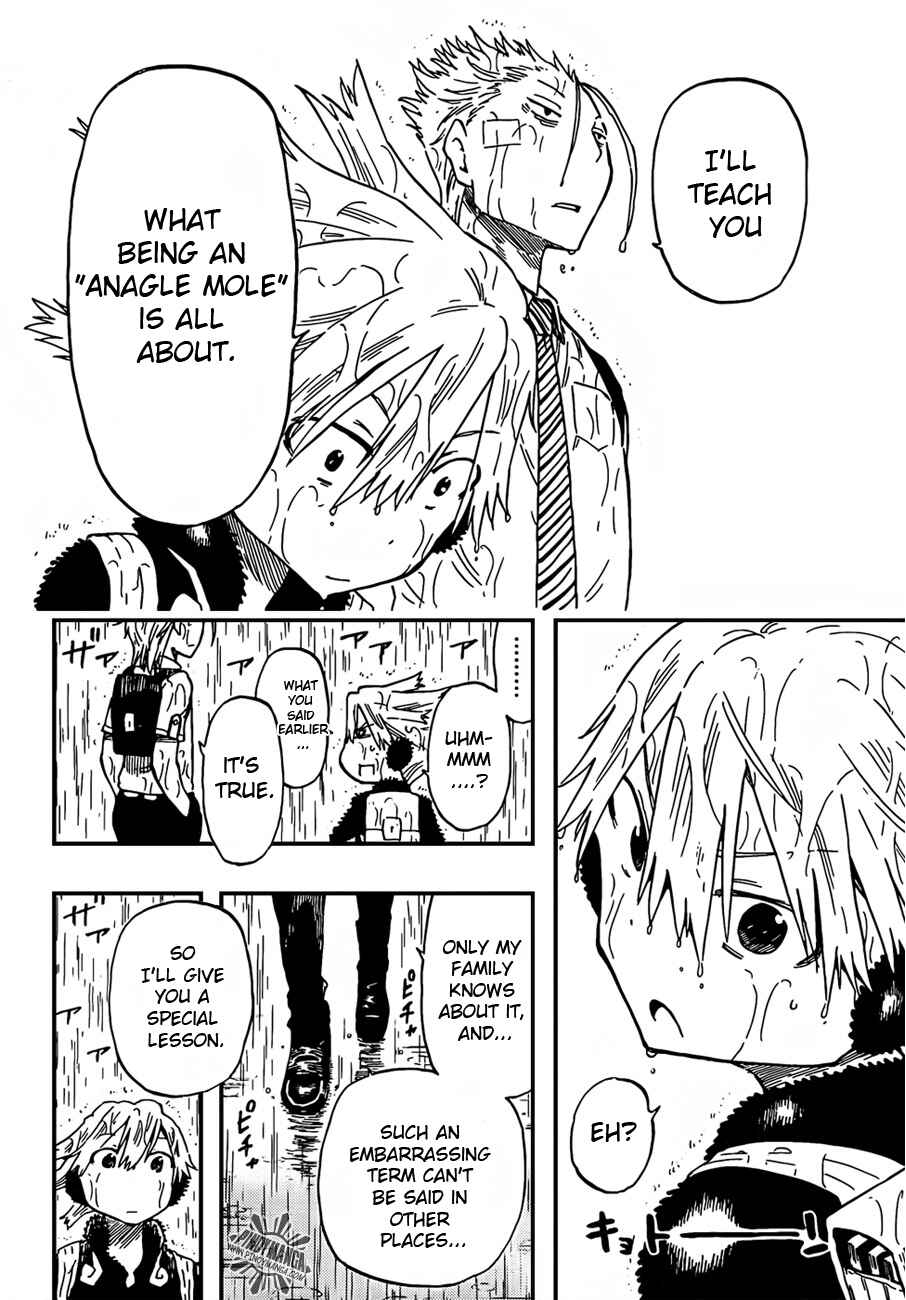 Page 16 Chapter 8 Anagle Mole