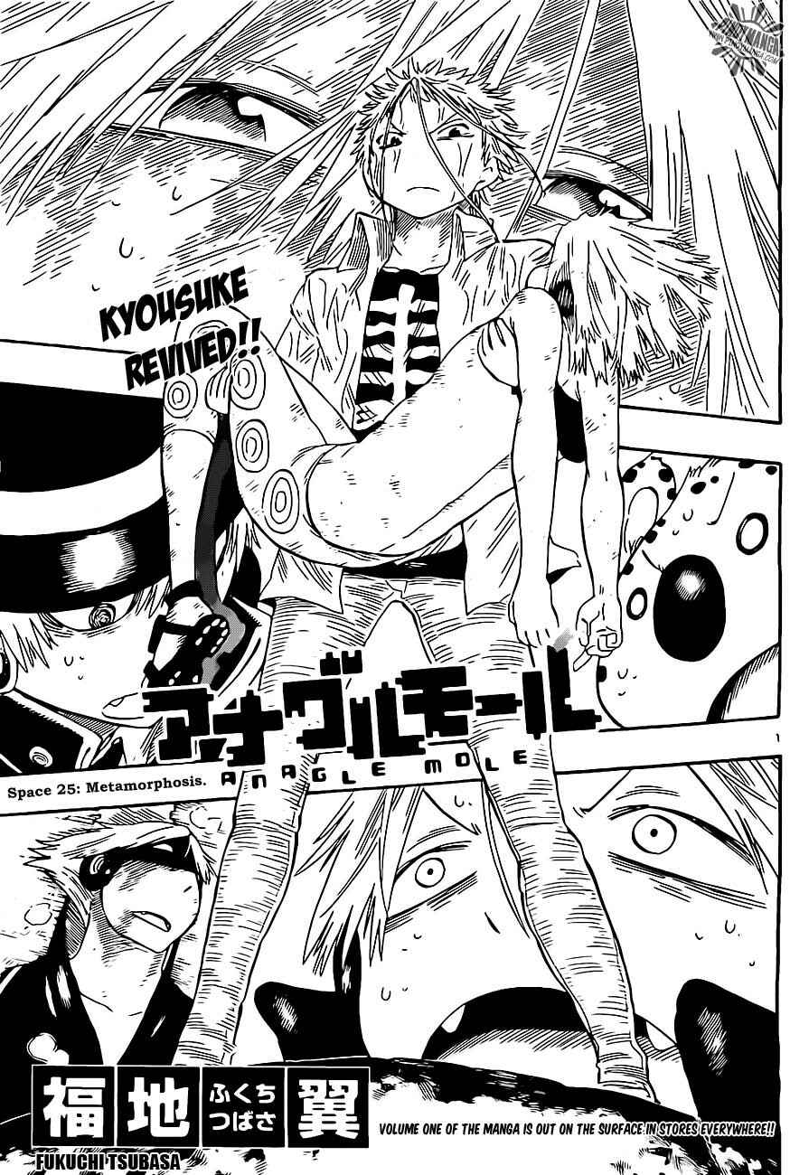 Page 1 Chapter 25 Anagle Mole