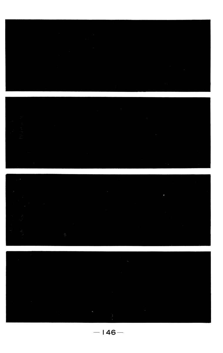 Page 146 Chapter 107 Tomorrows Joe