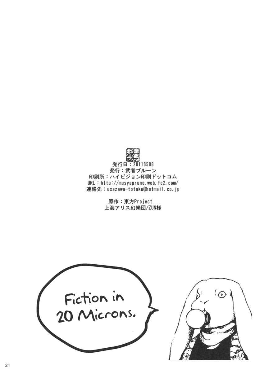 Page 21 Chapter Unknown_cbb7 Touhou - Uso Tsutsumi 20 Microns (Doujinshi)