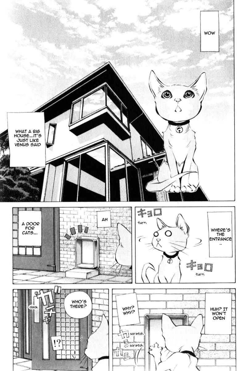 Page 25 Chapter 125 Pastel