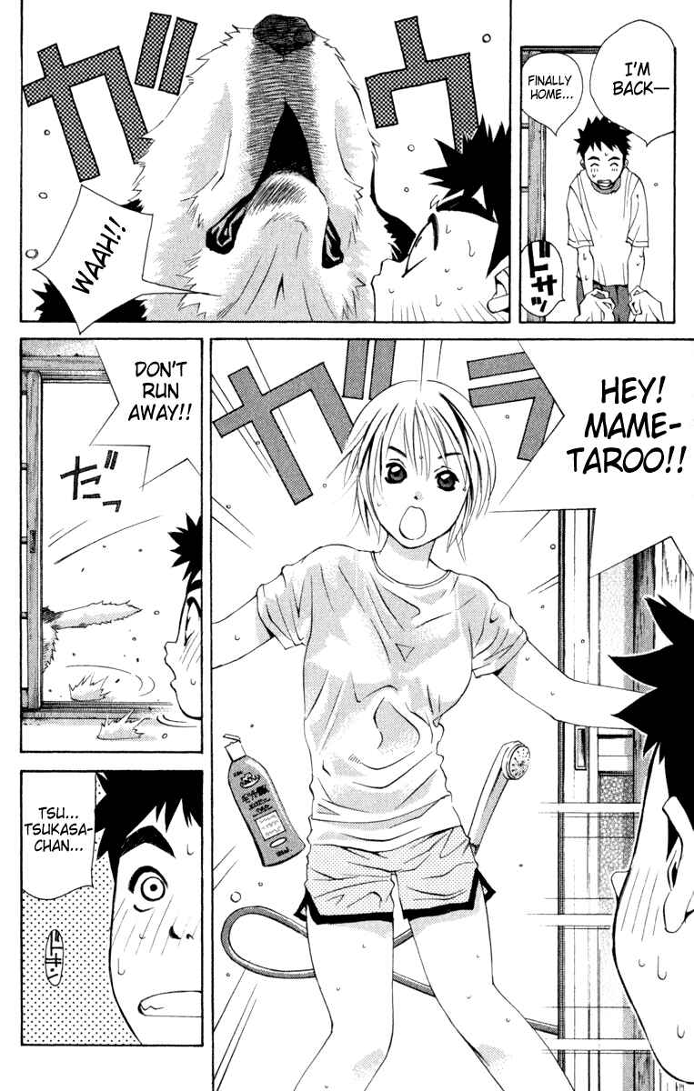 Page 3 Chapter 7 Pastel