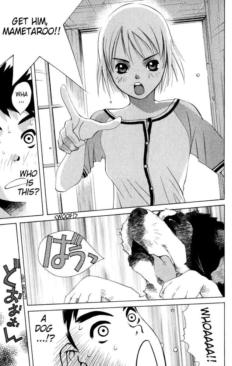 Page 5 Chapter 2 Pastel