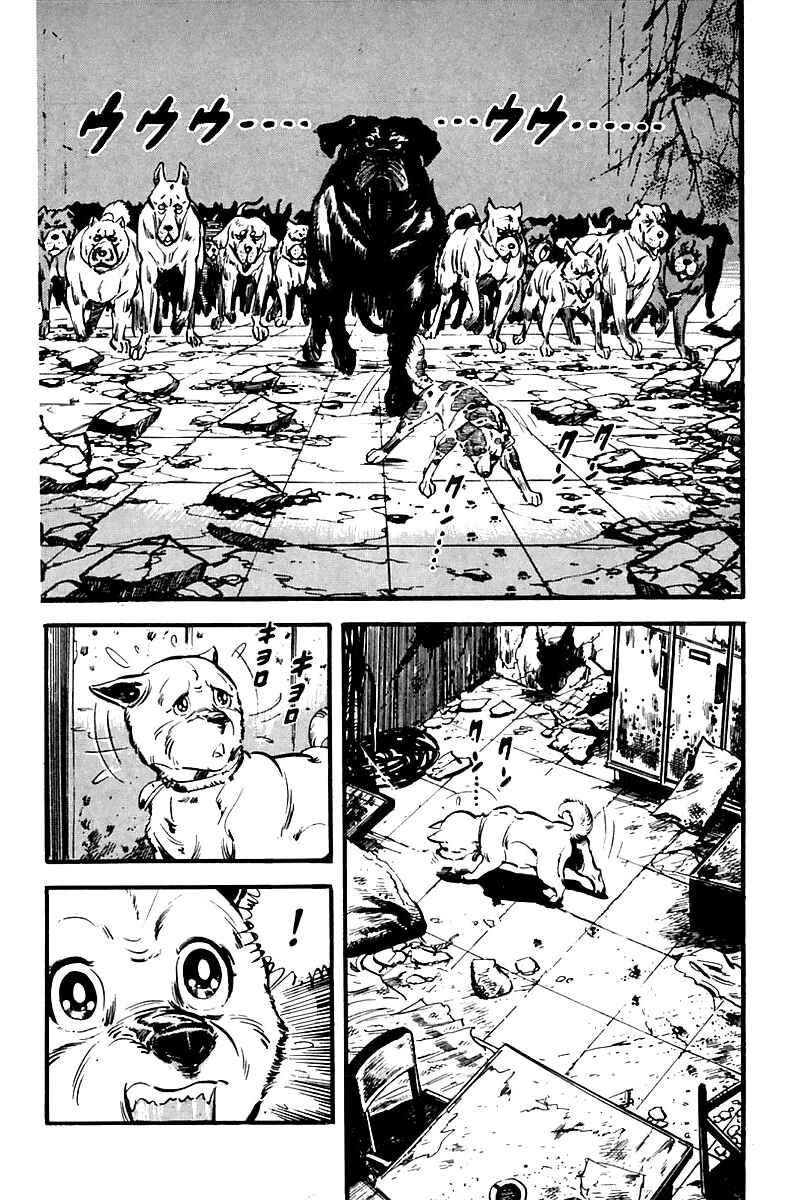 Page 33 Chapter 65 Survival (SAITO Takao)