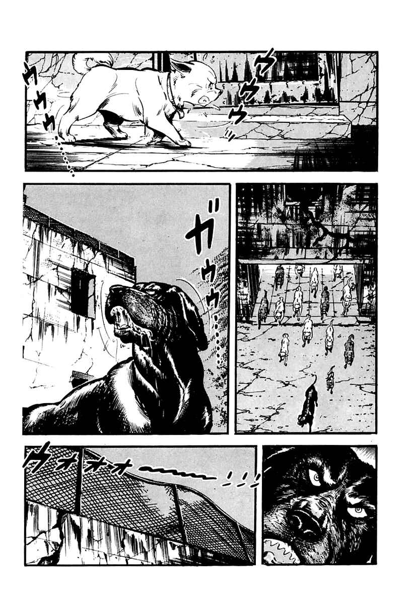 Page 47 Chapter 65 Survival (SAITO Takao)