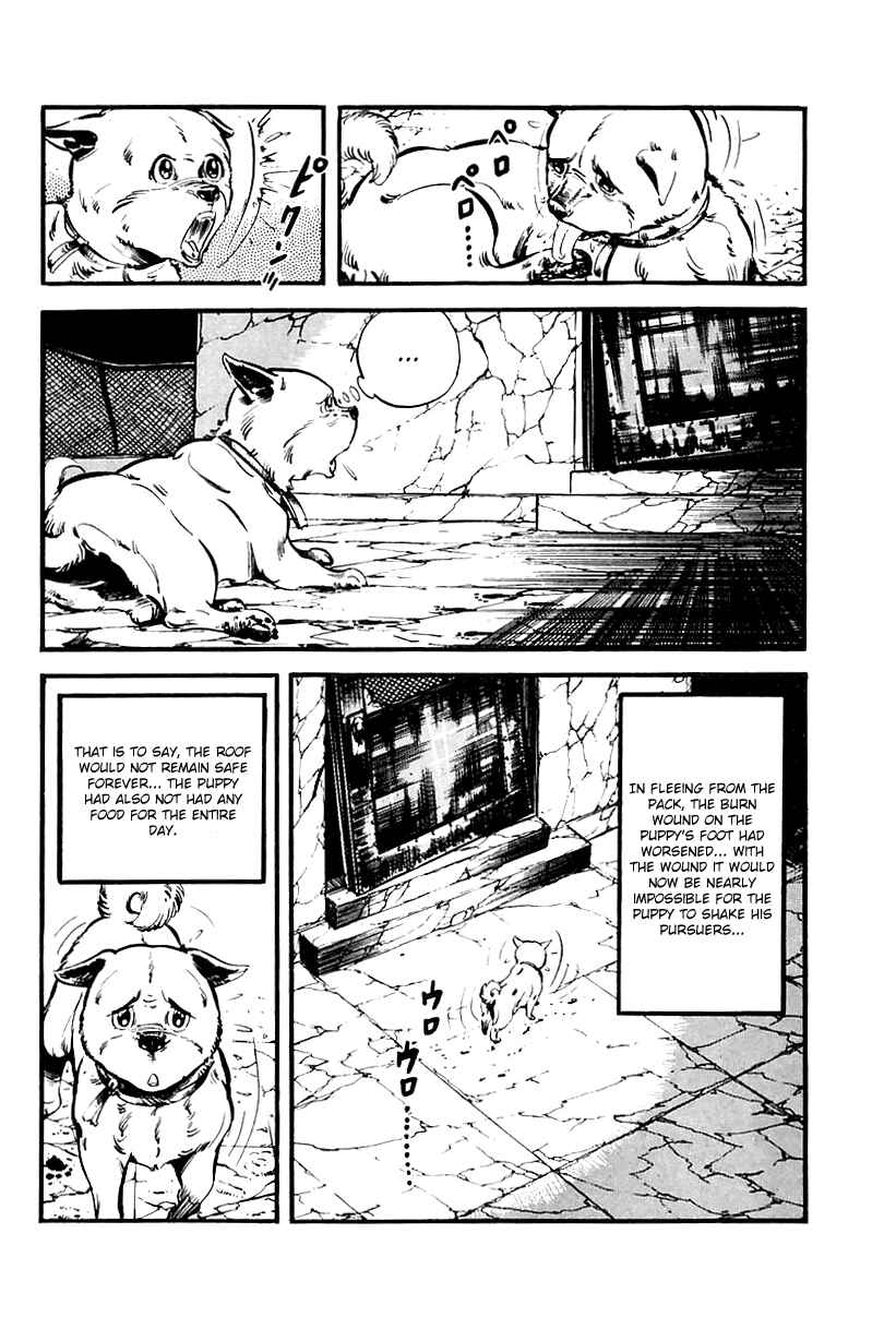 Page 49 Chapter 65 Survival (SAITO Takao)