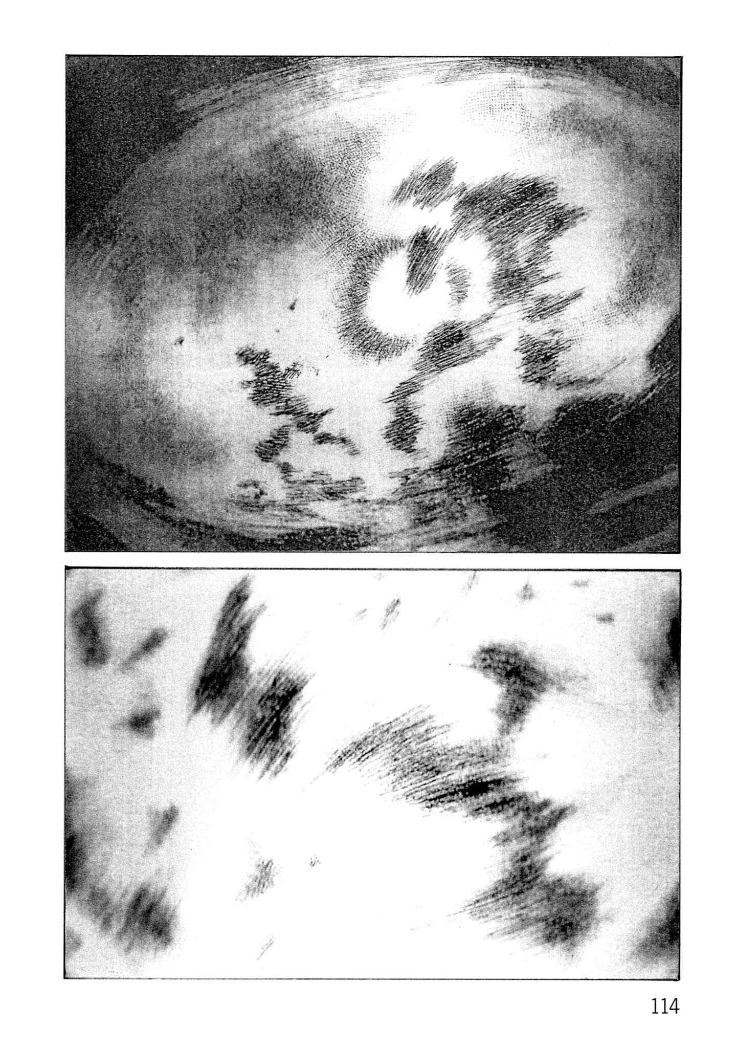 Page 30 Chapter 127 Desert Punk