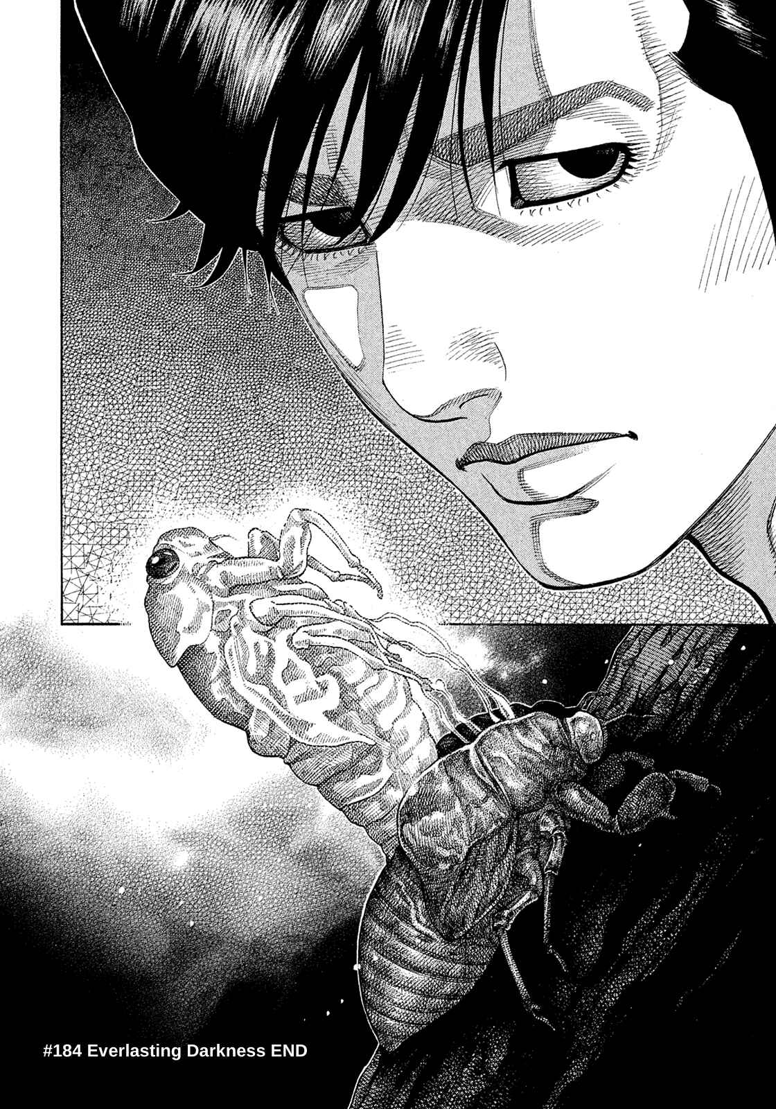 Page 17 Chapter 184 Montage