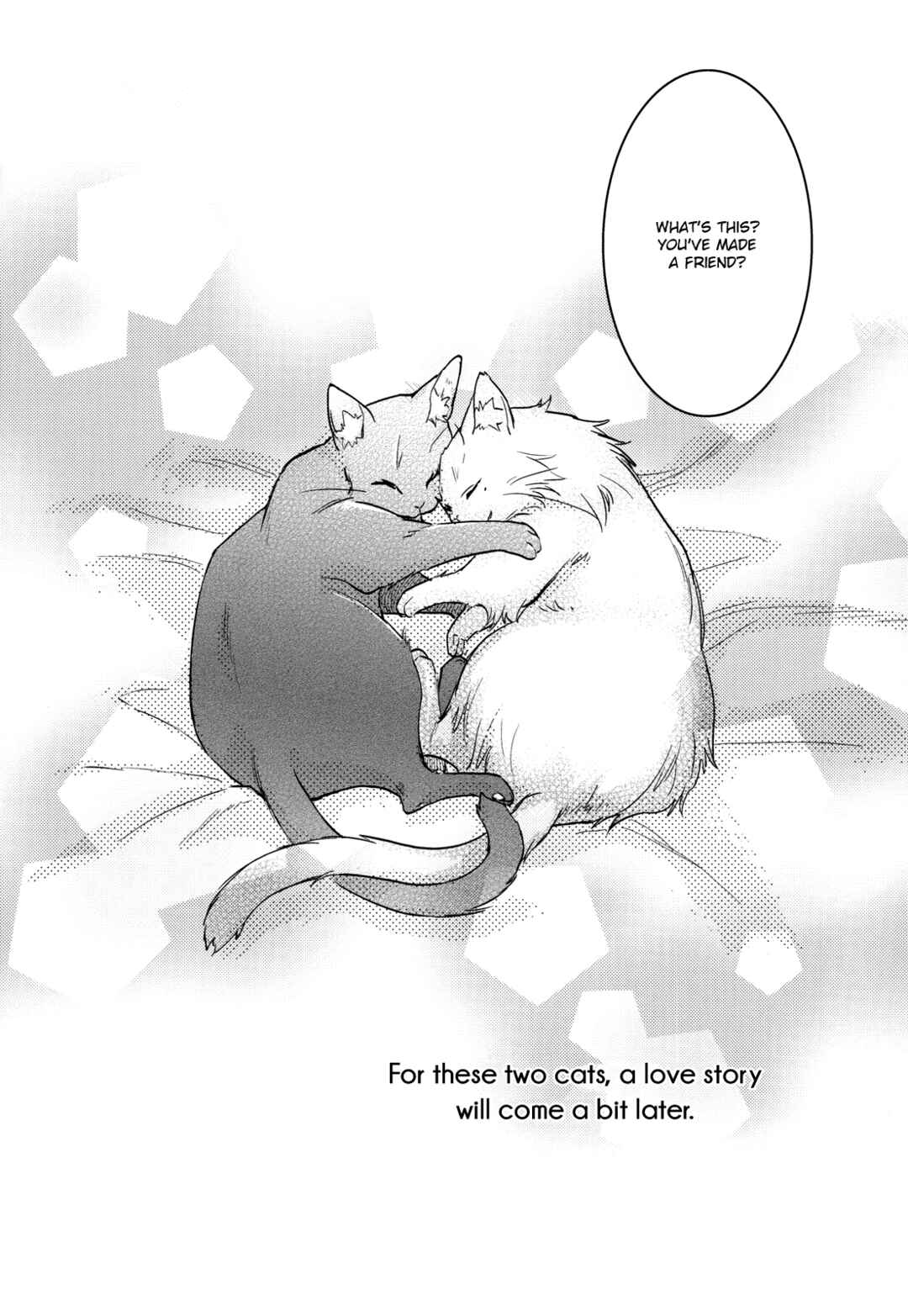 Page 34 Chapter Unknown_042b Yowamushi Pedal - Midori to Kuroneko to (Doujinshi)