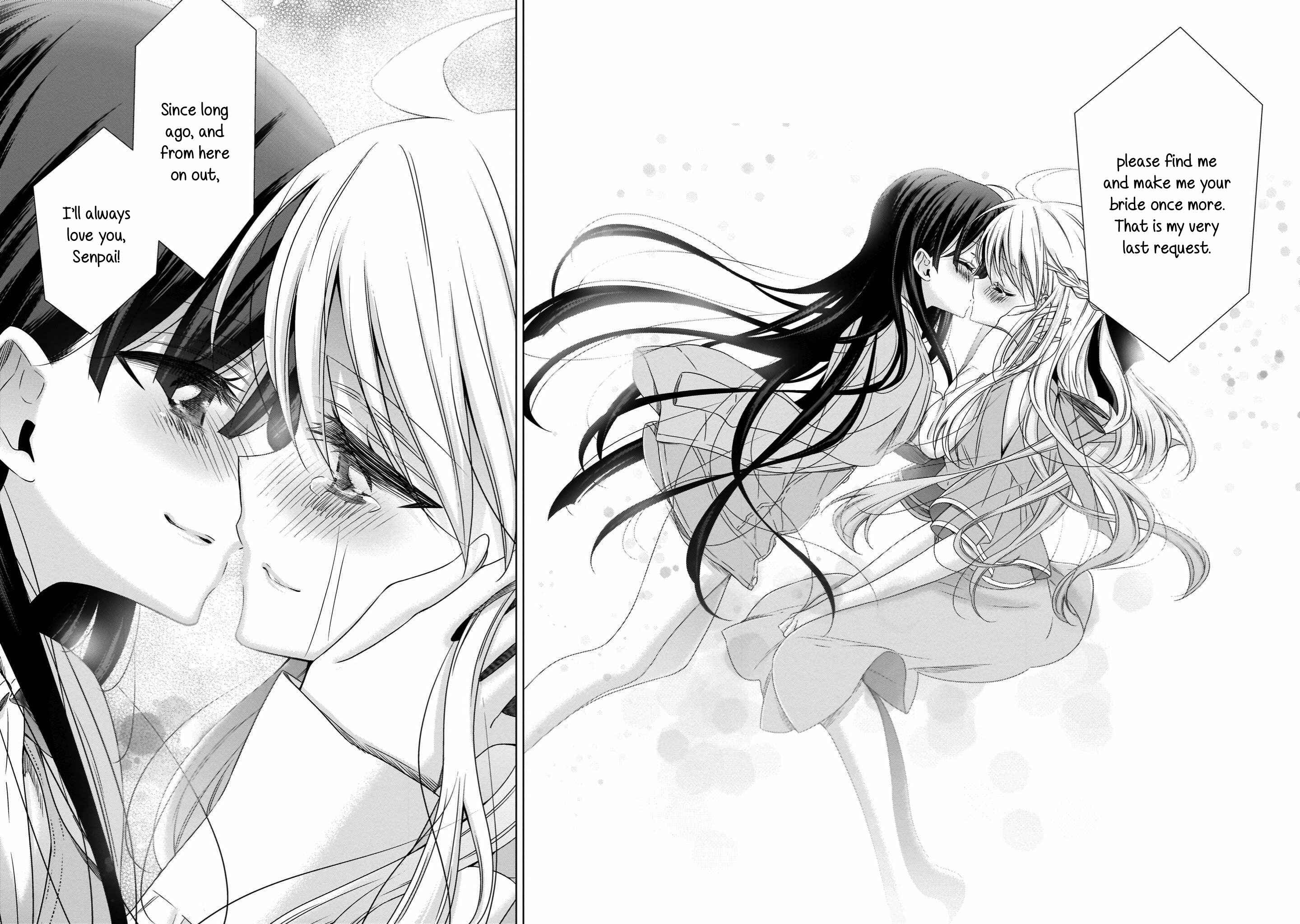 Page 17 Chapter 22 Vampire x Junior