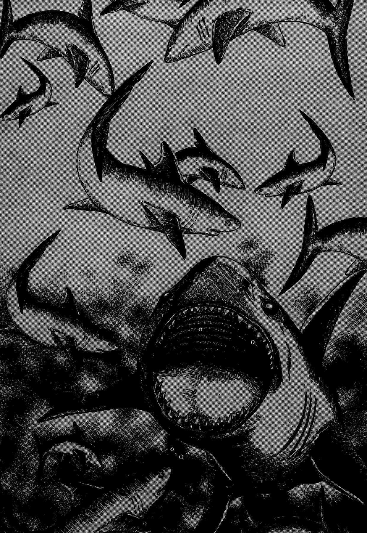Page 28 Chapter 16 Dog Soldier