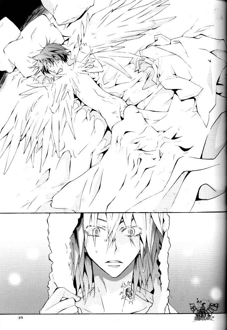 Page 38 Chapter Unknown_2028 Katekyo Hitman Reborn! - Sharon no Tori (Doujinshi)