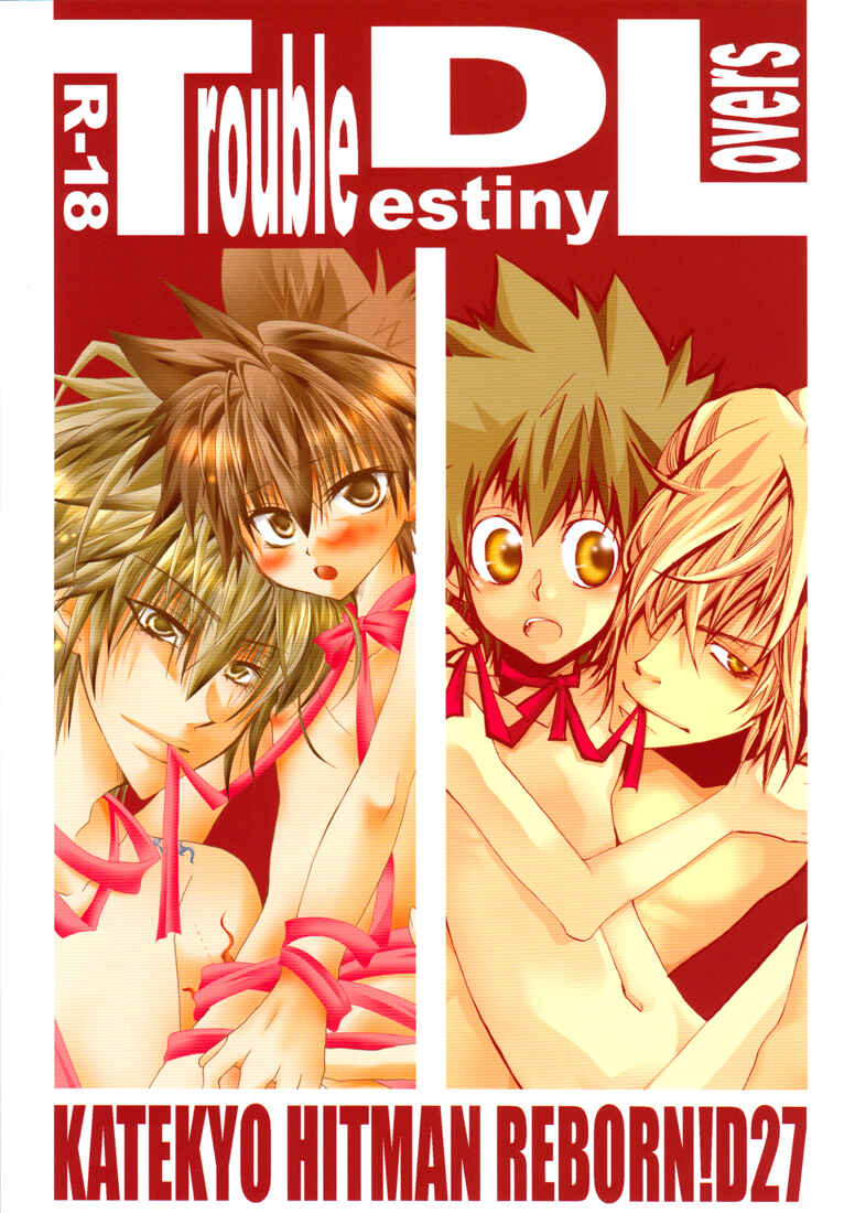 Page 17 Chapter Unknown_b311 Katekyo Hitman Reborn! - Trouble Destiny Lovers (Doujinshi)