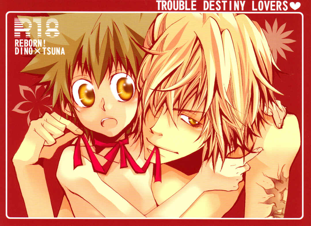 Page 2 Chapter Unknown_b311 Katekyo Hitman Reborn! - Trouble Destiny Lovers (Doujinshi)
