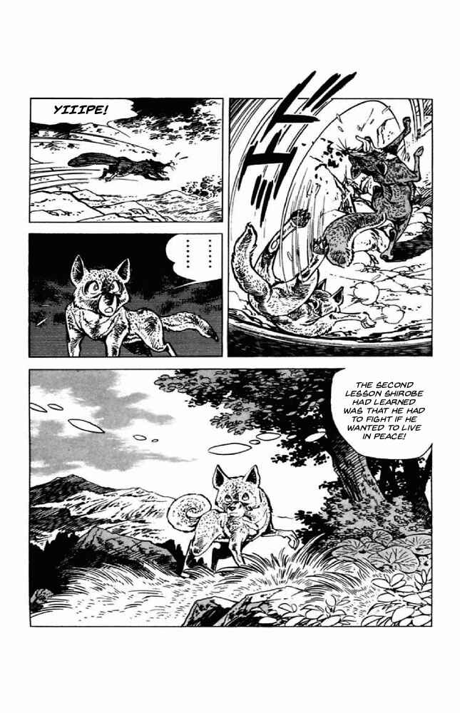 Page 12 Chapter 3 Shirobe