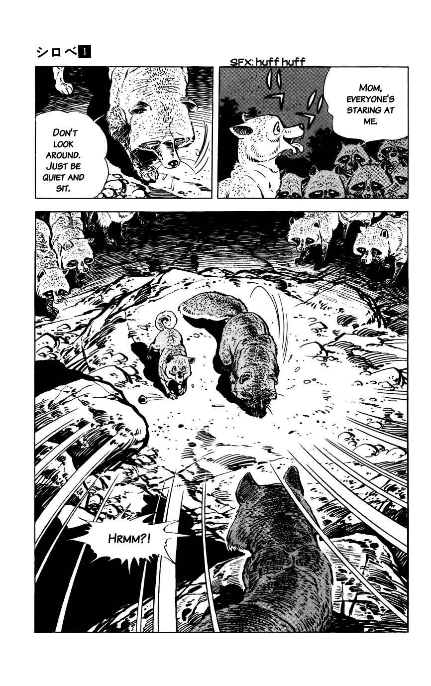 Page 17 Chapter 8 Shirobe