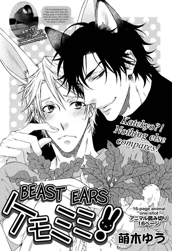 Page 5 Chapter 7.6 Katekyo!