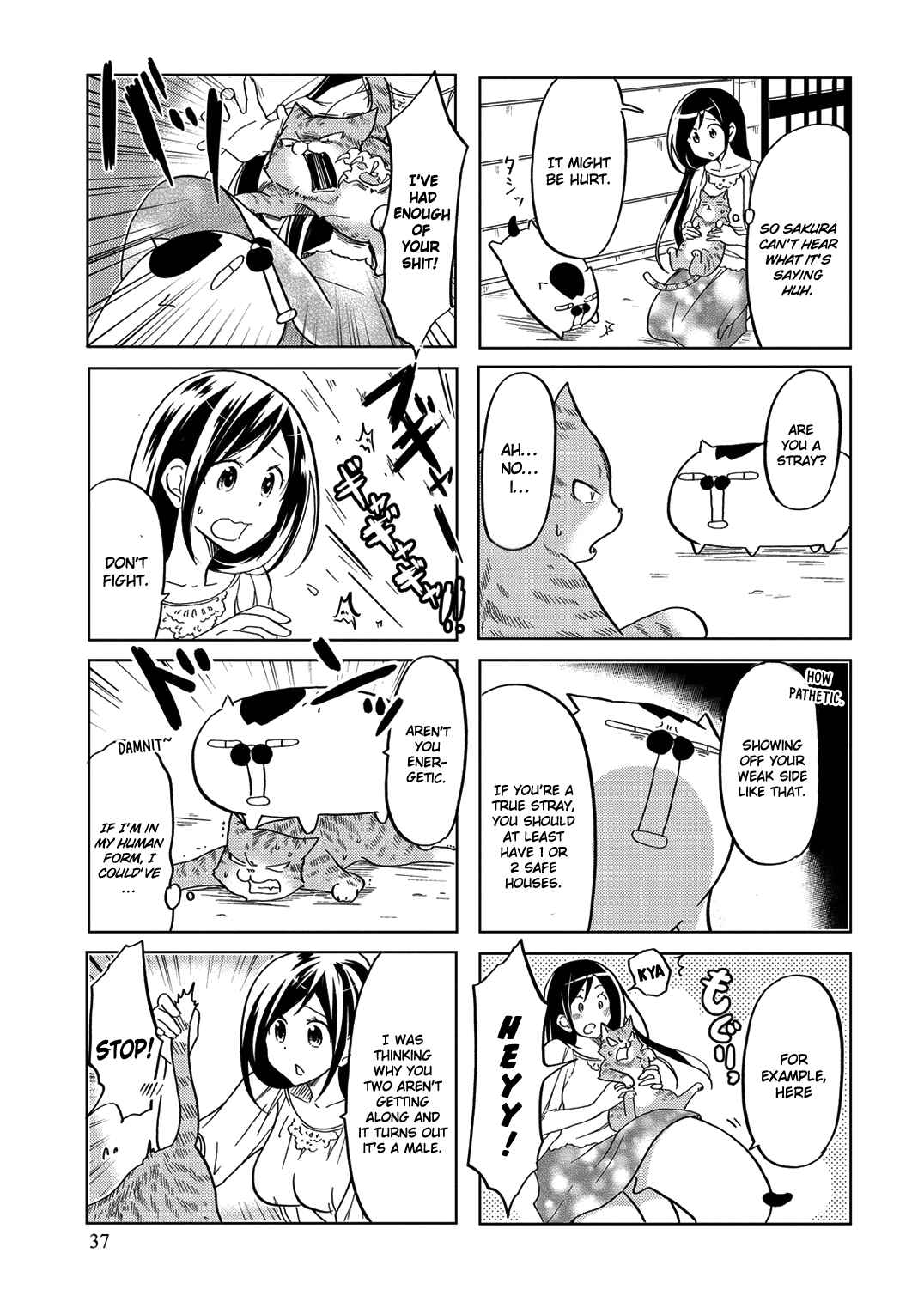 Page 6 Chapter 25 Itoshi no Sakura-san