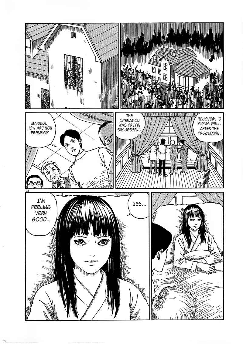 Page 28 Chapter 6 Black Paradox