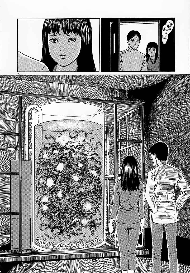 Page 30 Chapter 6 Black Paradox