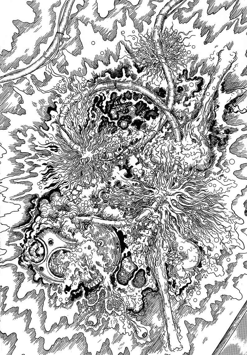 Page 8 Chapter 5 Black Paradox