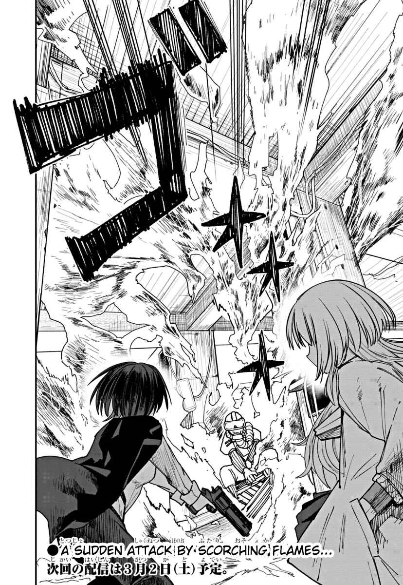 Page 14 Chapter 6 Double Helix Blossom
