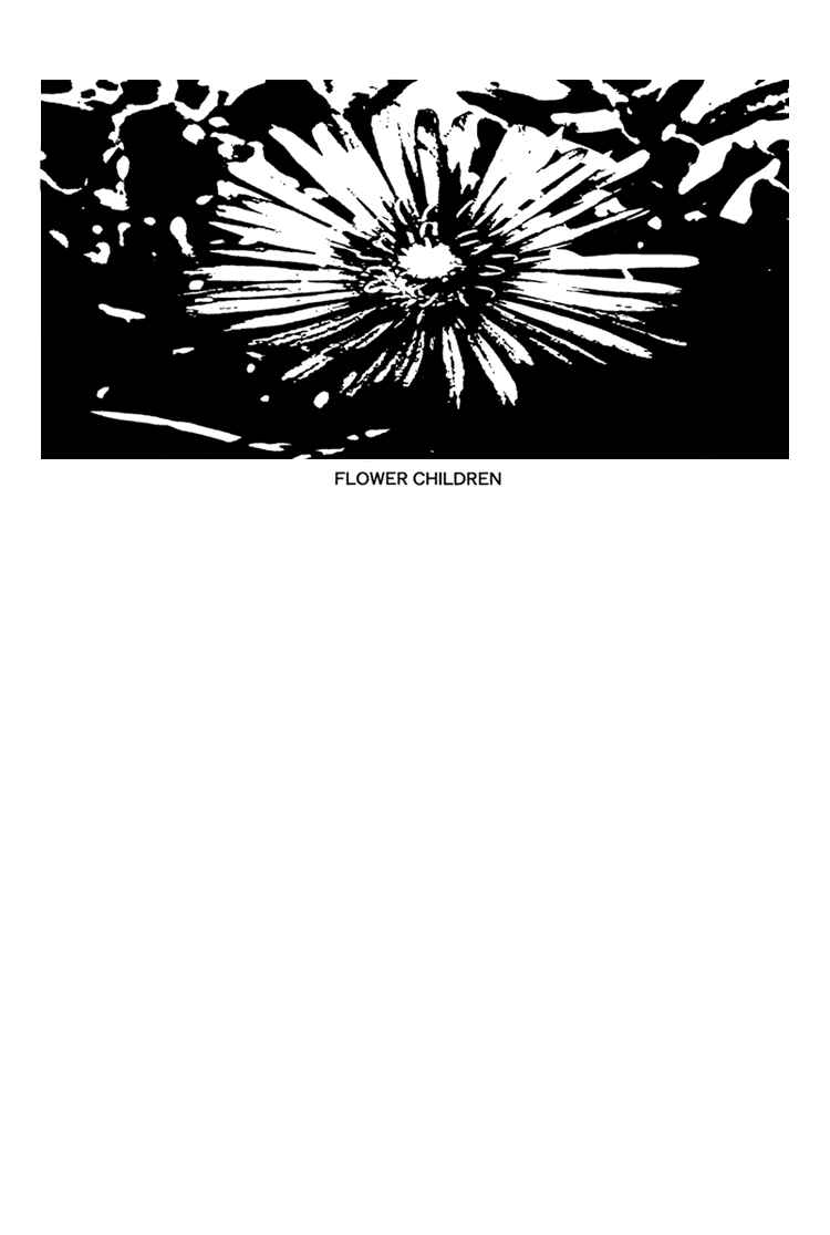 Page 4 Chapter 6.1 Flowers