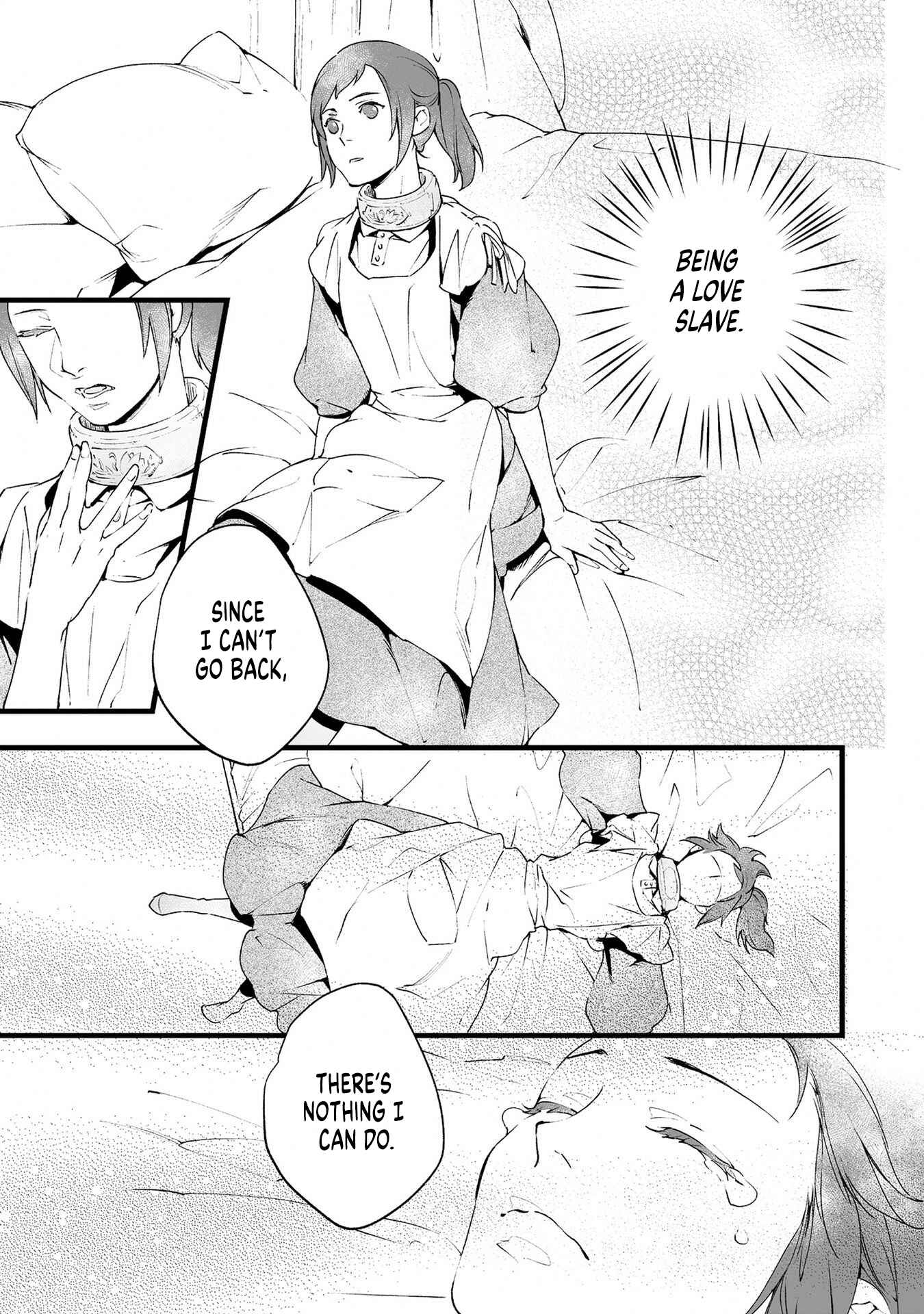 Page 33 Chapter 2 Isekai de Dorei ni Narimashitaga Goshujin-sama wa Watashi ni Yokujo Shimasen