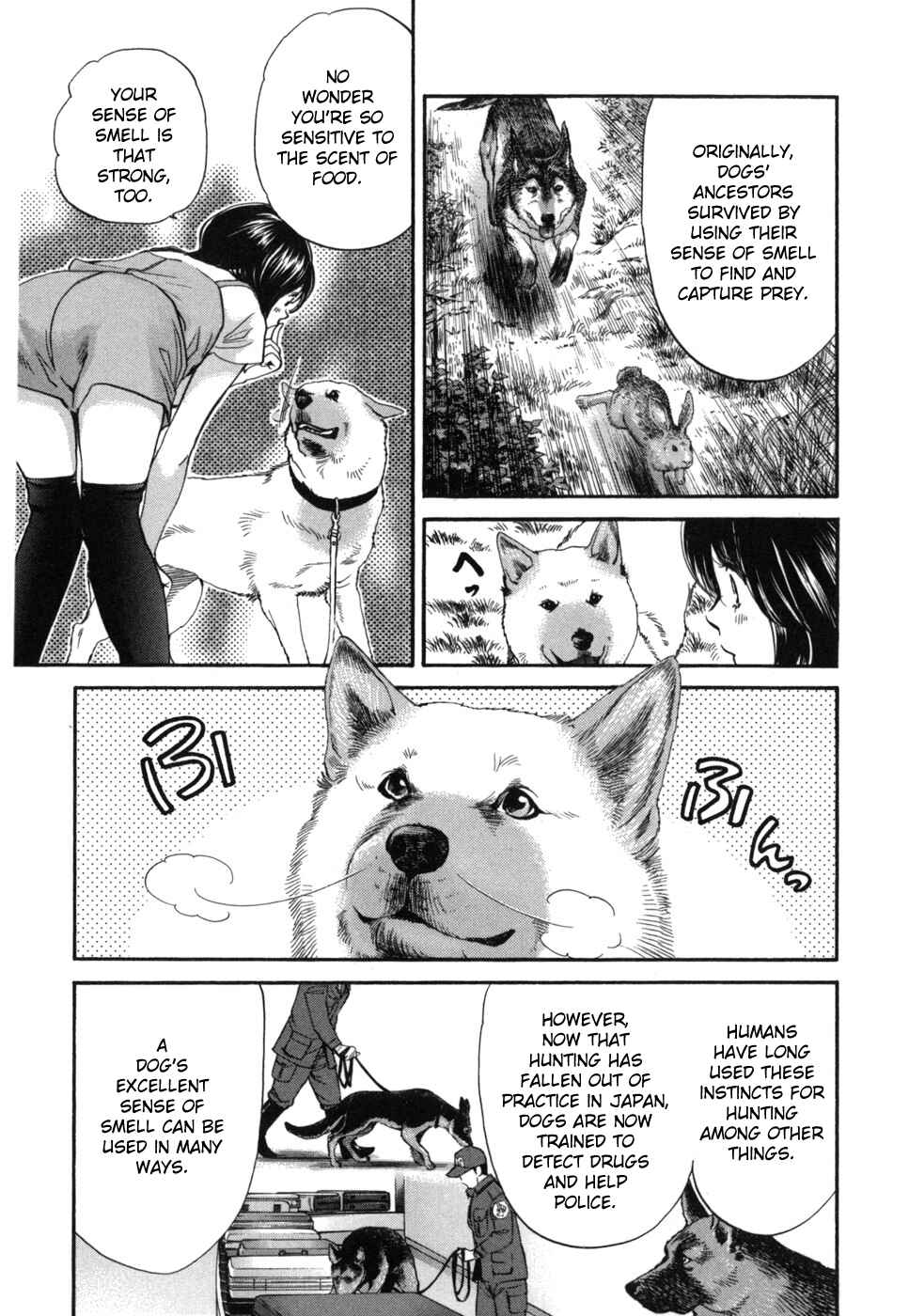 Page 13 Chapter 181 Inubaka