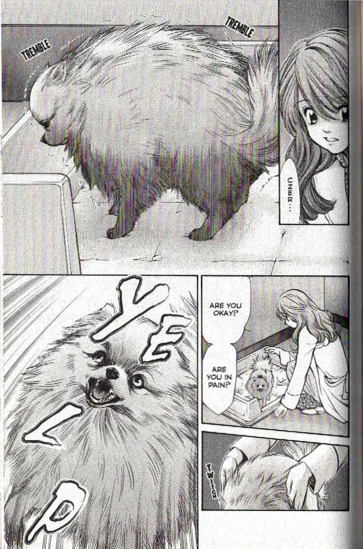Page 16 Chapter 128 Inubaka