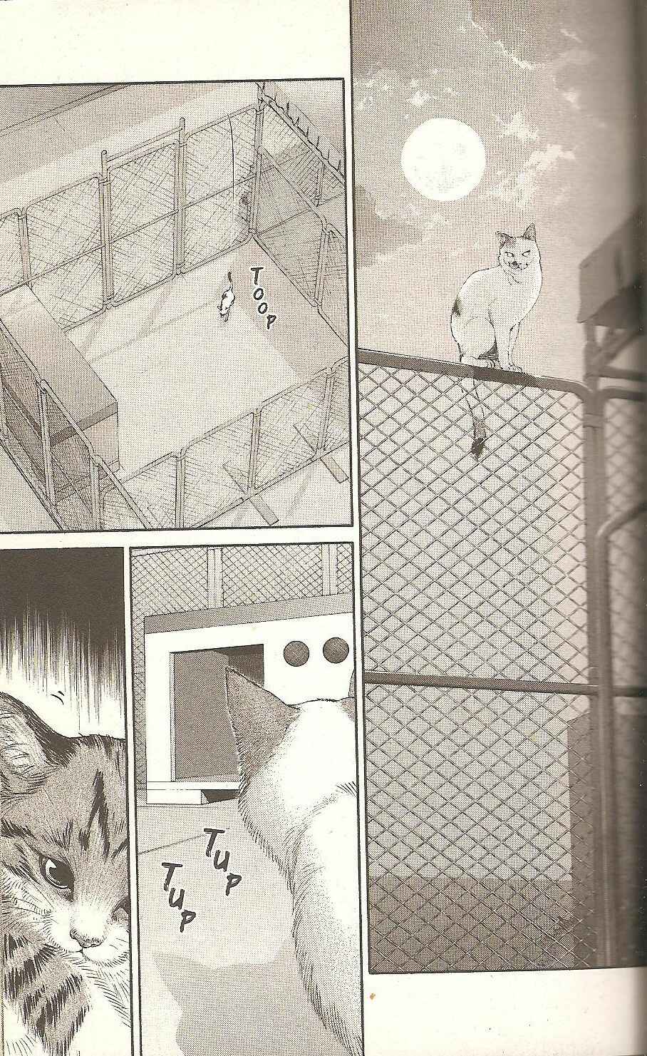 Page 15 Chapter 55 Inubaka