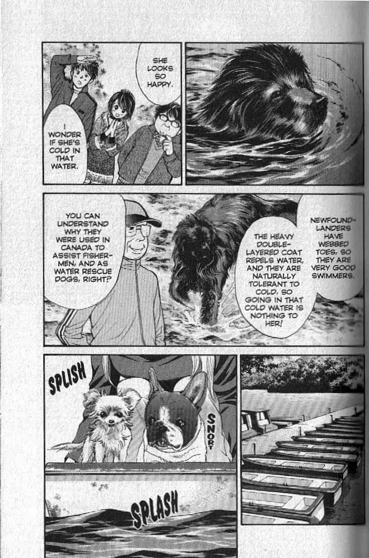 Page 13 Chapter 143 Inubaka