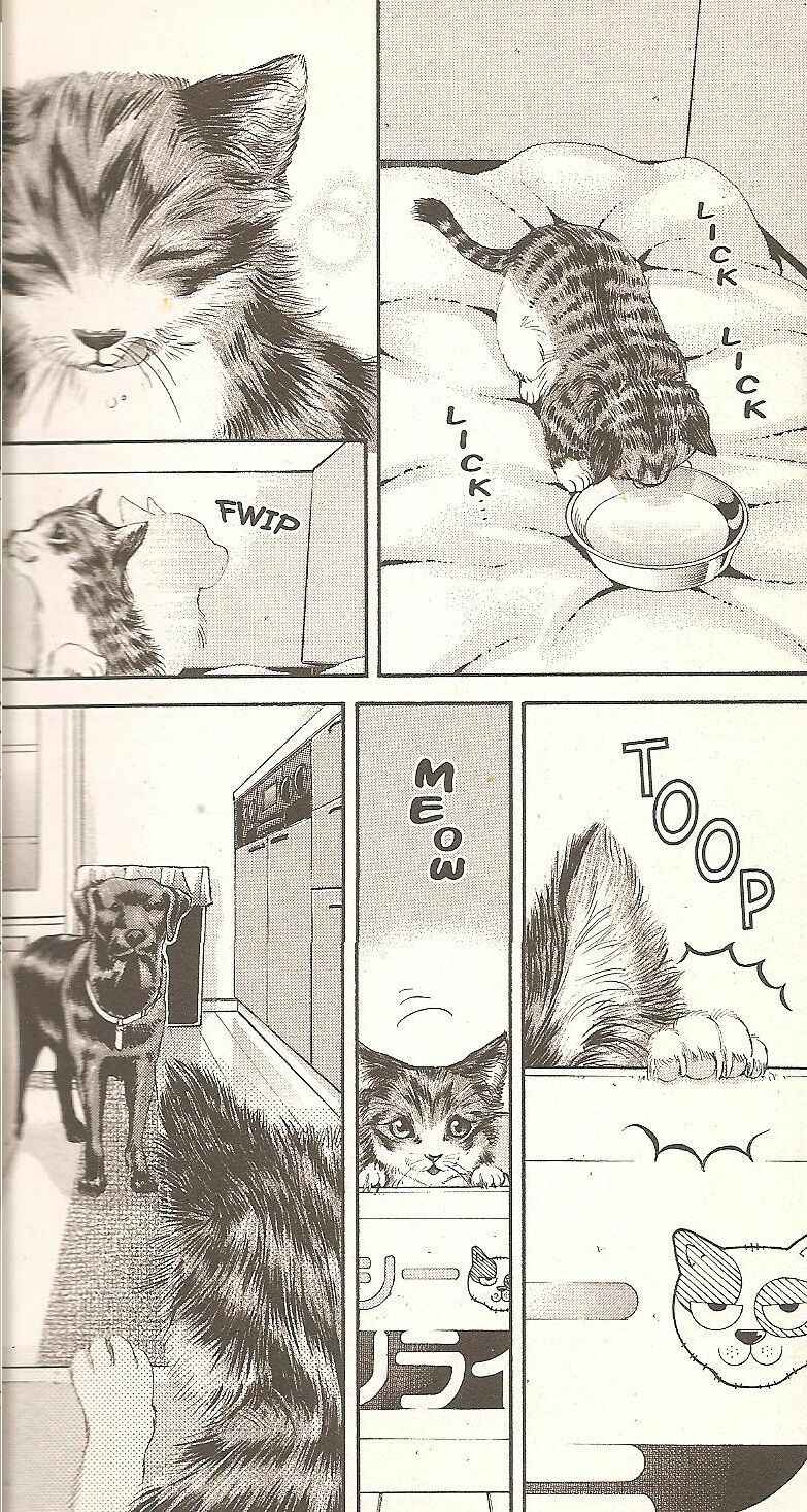 Page 14 Chapter 54 Inubaka