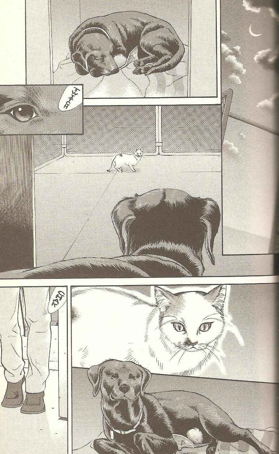 Page 17 Chapter 56 Inubaka