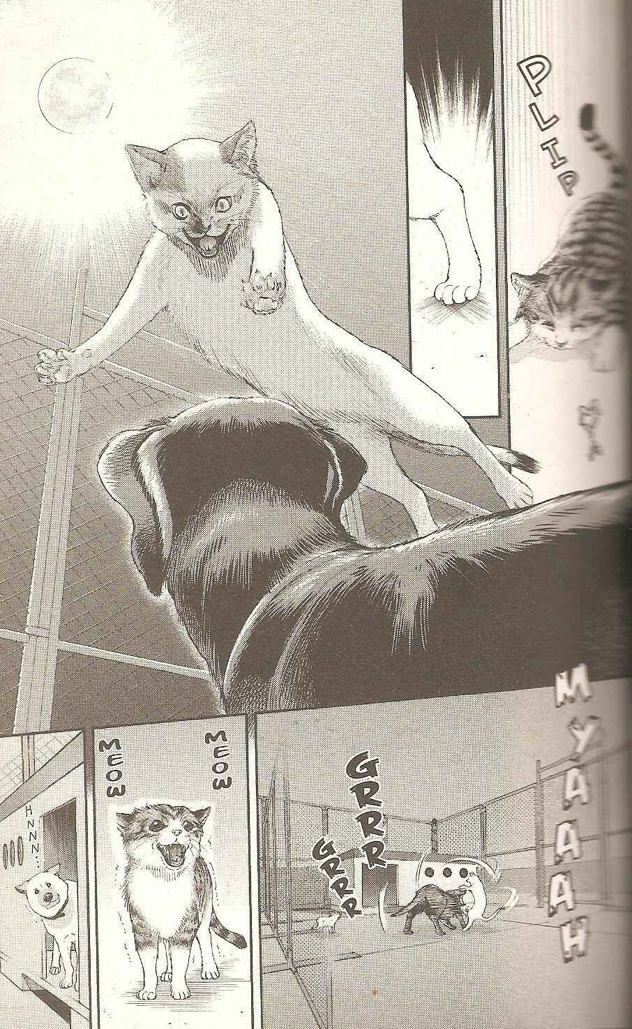 Page 3 Chapter 56 Inubaka