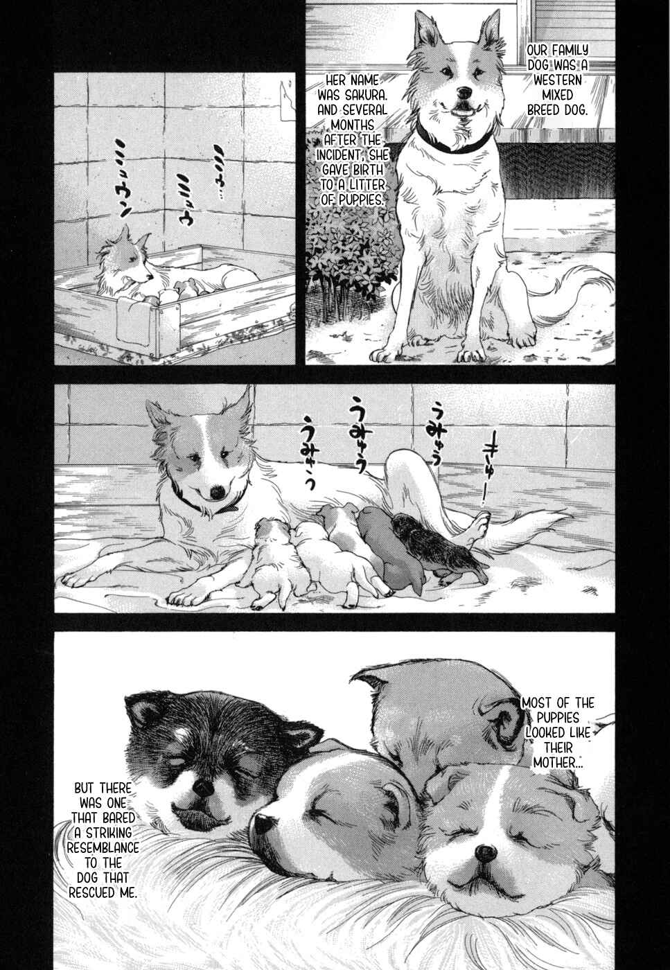 Page 10 Chapter 184 Inubaka