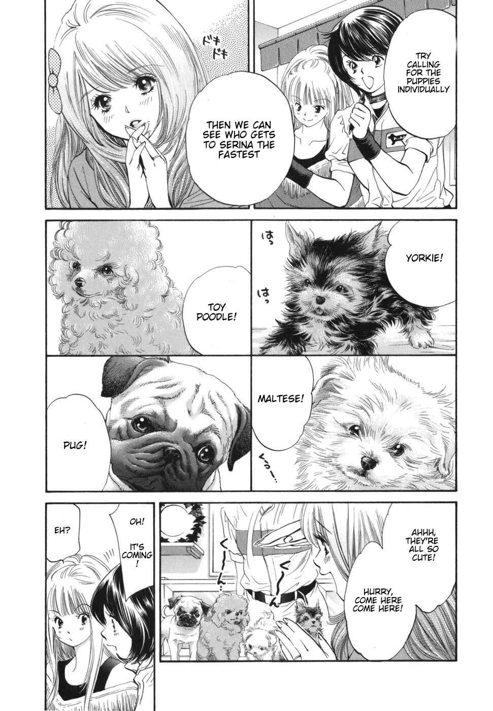 Page 3 Chapter 169 Inubaka