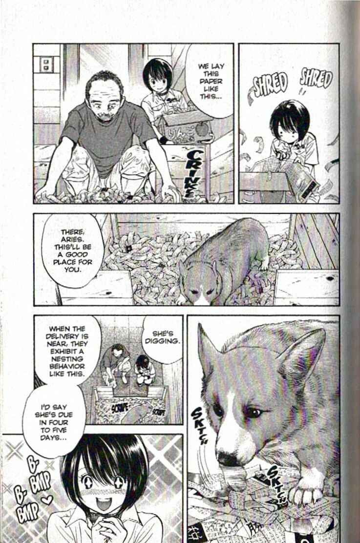 Page 13 Chapter 91 Inubaka