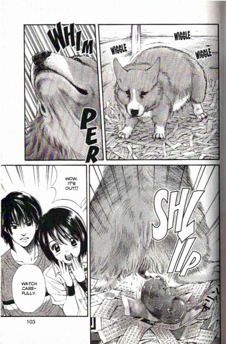 Page 5 Chapter 92 Inubaka