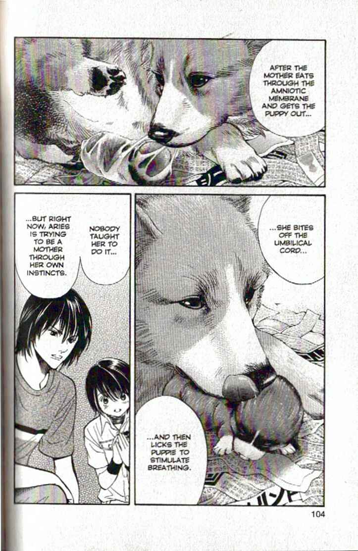 Page 6 Chapter 92 Inubaka