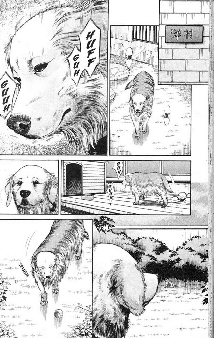 Page 10 Chapter 6 Inubaka