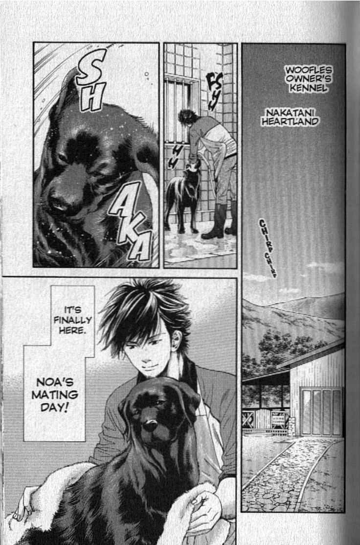 Page 3 Chapter 146 Inubaka