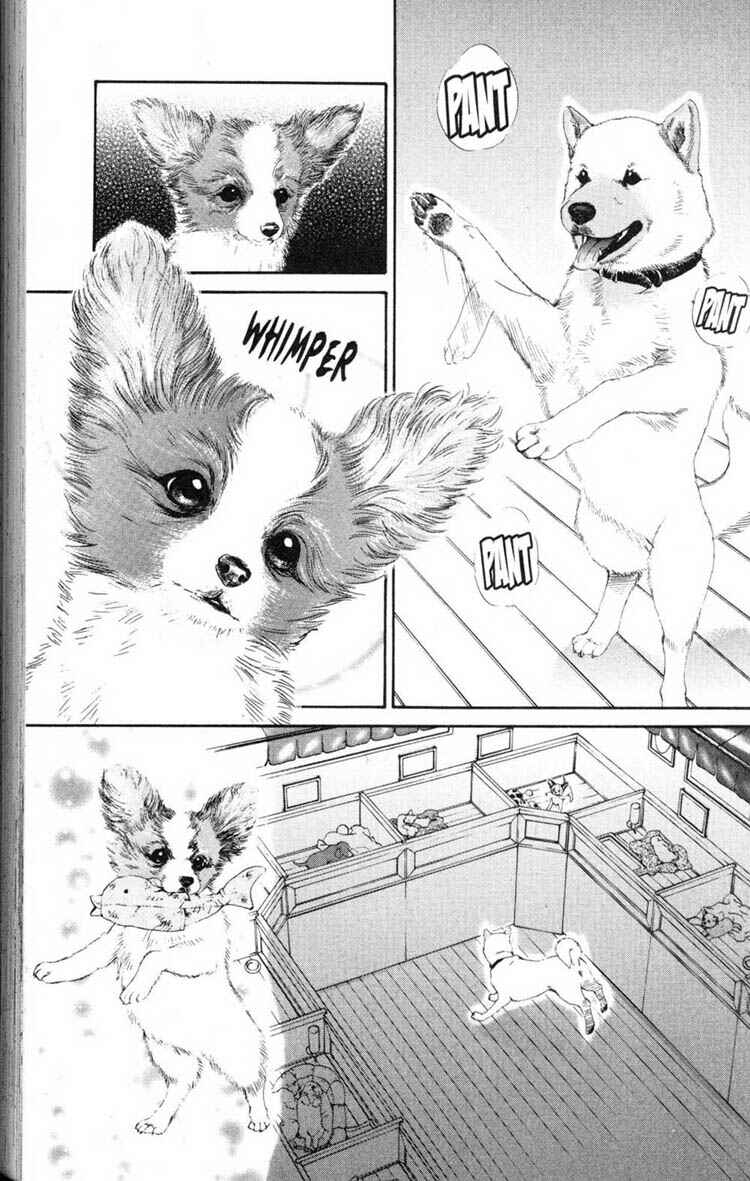 Page 11 Chapter 12 Inubaka