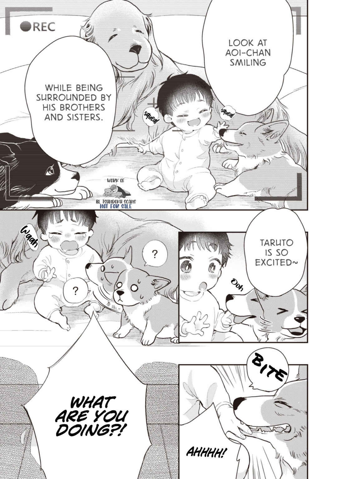 Page 3 Chapter 2 Hiyoko-chan to Harinezumi-kun