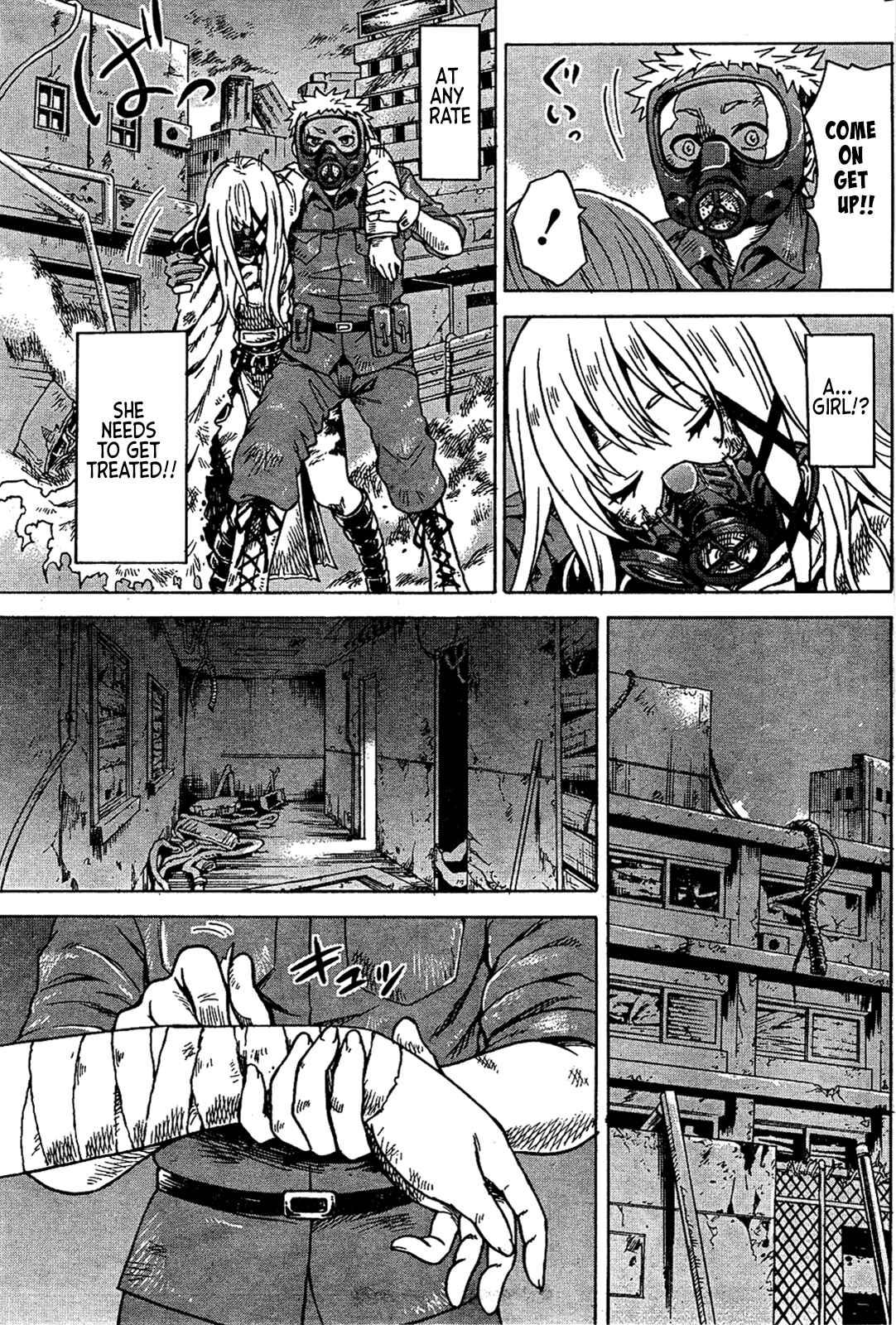 Page 11 Chapter 1 GEMINI