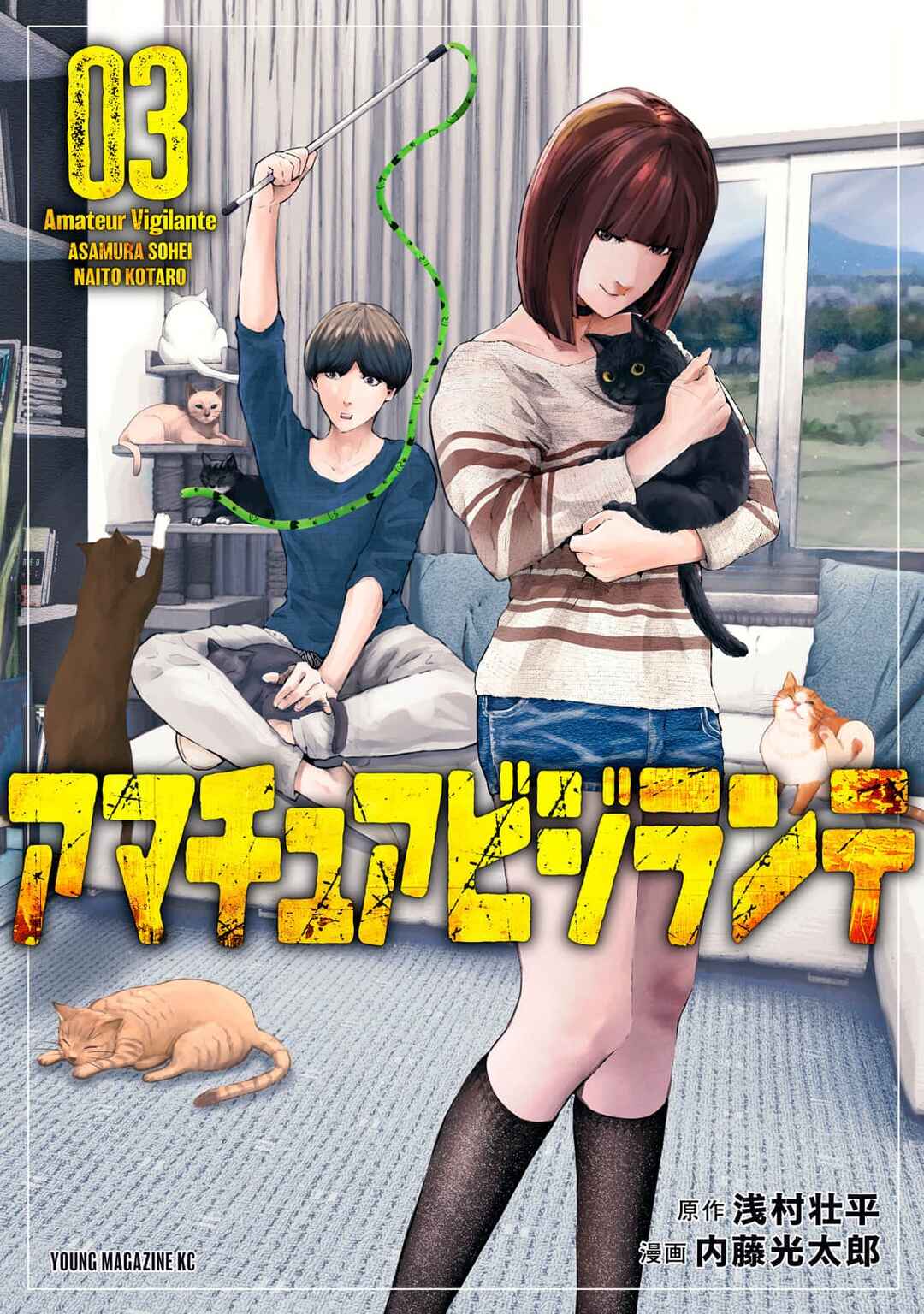Page 3 Chapter 15 Amateur Vigilante
